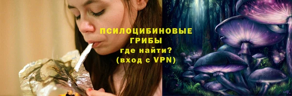 меф Инсар
