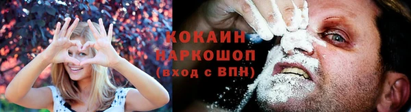 молекула духа Зеленодольск