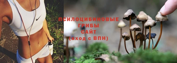 Альфа ПВП Зеленокумск