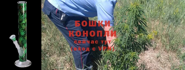 молекула духа Зеленодольск