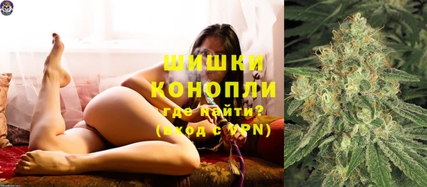 молекула духа Зеленодольск
