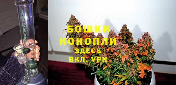 молекула духа Зеленодольск