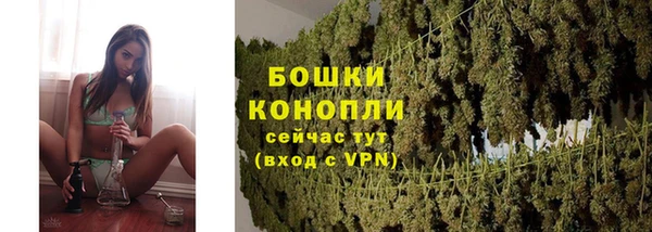 МДПВ Инта