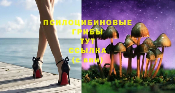 Альфа ПВП Зеленокумск
