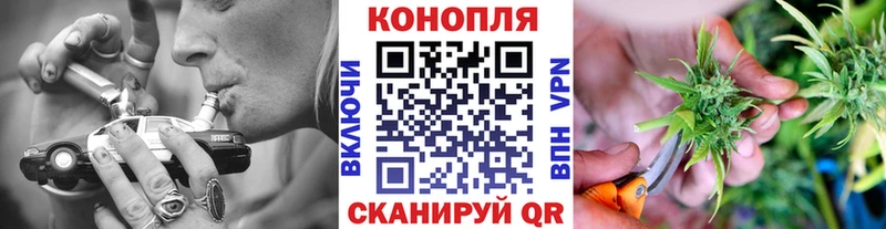 Купить закладки  Новочебоксарск  Конопля Ganja 